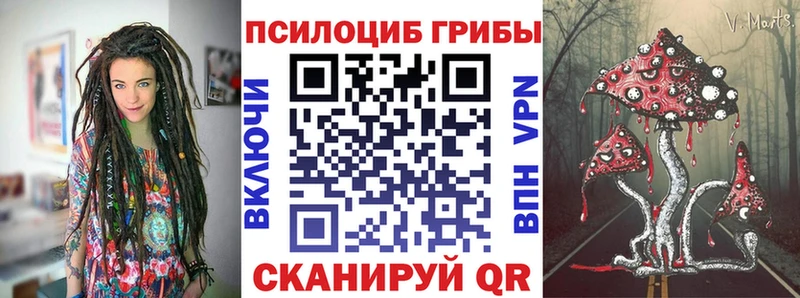 Купить закладки  Кольчугино  Псилоцибиновые грибы мухоморы 